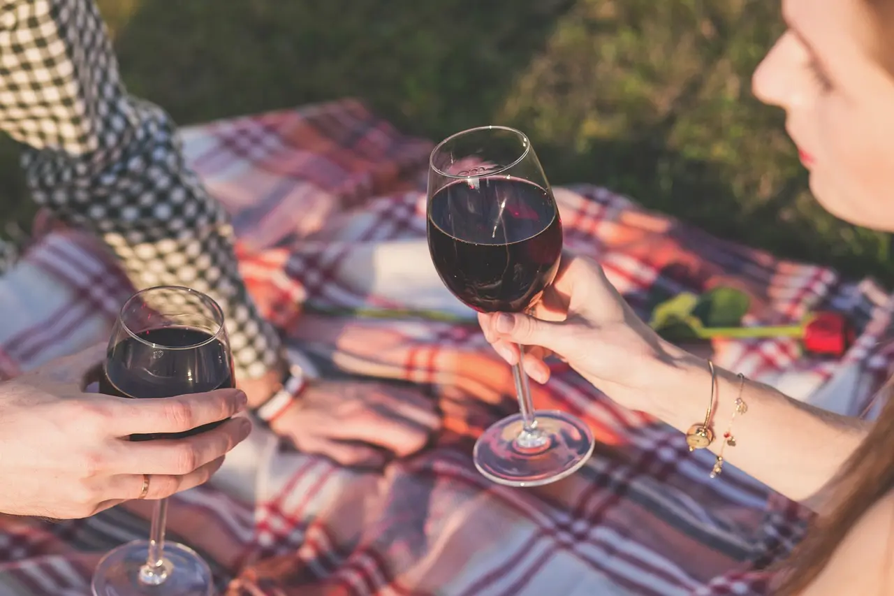 A couple enjoying a picnic with glasses of red wine on a checkered blanket